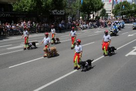 Fédération Nationale des Pompiers